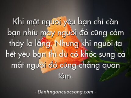 Khi một người yêu bạn chỉ cần bạn nhíu mày người đó cũng cảm thấy lo lắng. Nhưng khi người ta hết yêu bạn thì dù có khóc sưng cả mắt người đó cũng chẳng quan tâm.