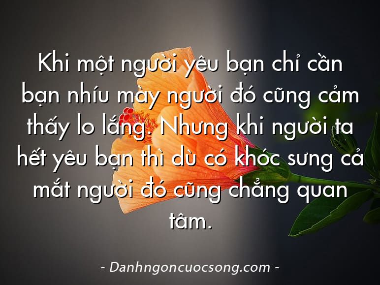 Khi một người yêu bạn chỉ cần bạn nhíu mày người đó cũng cảm thấy lo lắng. Nhưng khi người ta hết yêu bạn thì dù có khóc sưng cả mắt người đó cũng chẳng quan tâm.