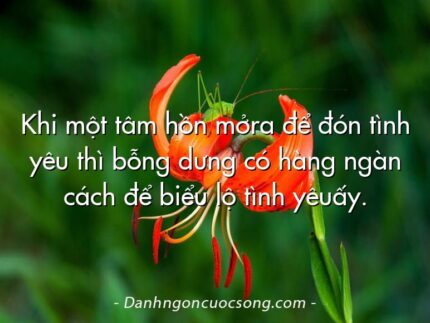 Khi một tâm hồn mởra để đón tình yêu thì bỗng dưng có hàng ngàn cách để biểu lộ tình yêuấy.