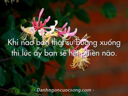 Khi nào bạn thật sự buông xuống thì lúc ấy bạn sẽ hết phiền não.