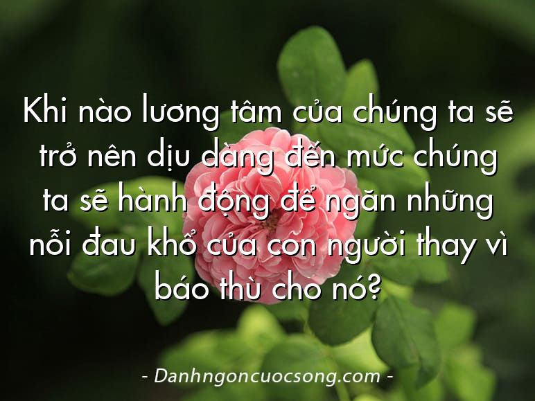Khi nào lương tâm của chúng ta sẽ trở nên dịu dàng đến mức chúng ta sẽ hành động để ngăn những nỗi đau khổ của con người thay vì báo thù cho nó?
