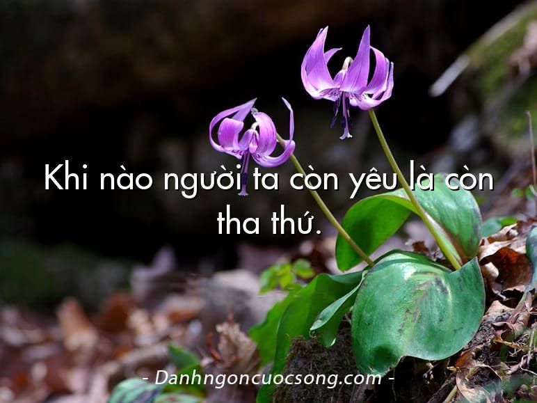 Khi nào người ta còn yêu là còn tha thứ.