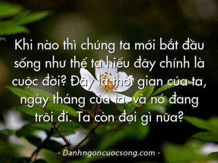 Khi nào thì chúng ta mới bắt đầu sống như thể ta hiểu đây chính là cuộc đời? Đây là thời gian của ta, ngày tháng của ta. và nó đang trôi đi. Ta còn đợi gì nữa?