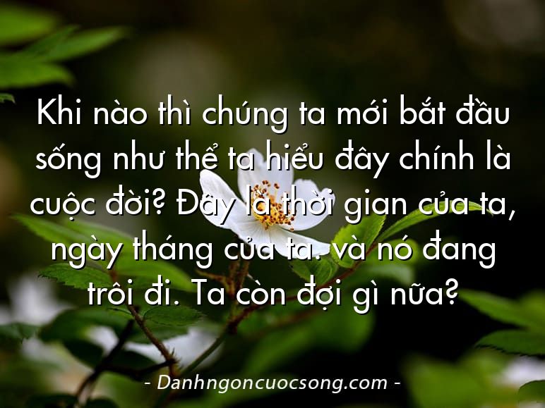 Khi nào thì chúng ta mới bắt đầu sống như thể ta hiểu đây chính là cuộc đời? Đây là thời gian của ta, ngày tháng của ta. và nó đang trôi đi. Ta còn đợi gì nữa?