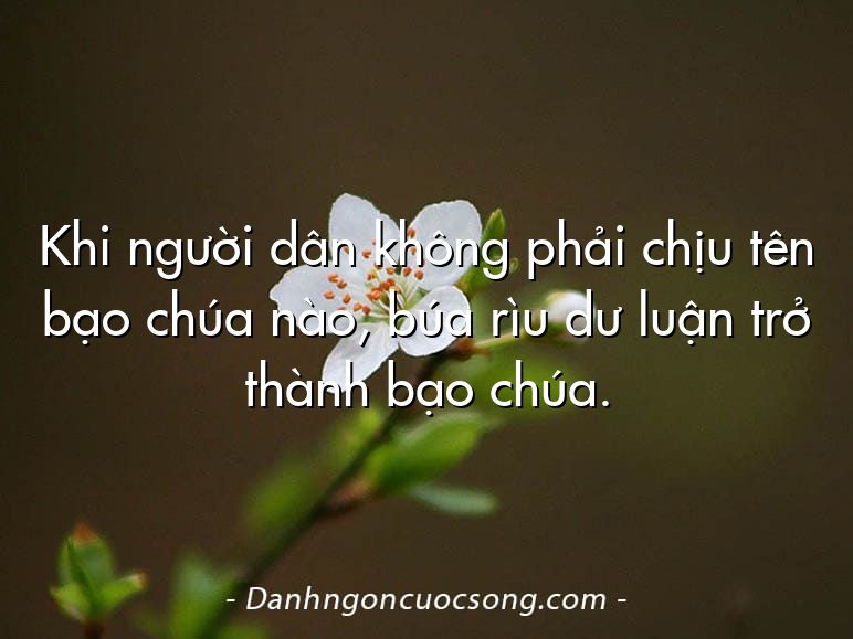 Khi người dân không phải chịu tên bạo chúa nào, búa rìu dư luận trở thành bạo chúa.