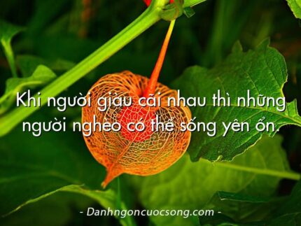 Khi người giàu cãi nhau thì những người nghèo có thể sống yên ổn.