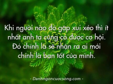 Khi người nào đó gặp xui xẻo thì ít nhất anh ta cũng có được cơ hội. Đó chính là sẽ nhận ra ai mới chính là bạn tốt của mình.