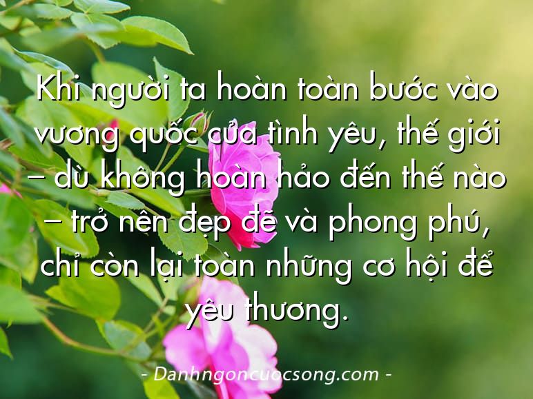 Khi người ta hoàn toàn bước vào vương quốc của tình yêu, thế giới – dù không hoàn hảo đến thế nào – trở nên đẹp đẽ và phong phú, chỉ còn lại toàn những cơ hội để yêu thương.