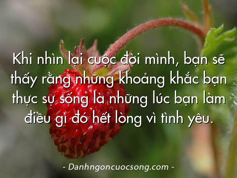 Khi nhìn lại cuộc đời mình, bạn sẽ thấy rằng những khoảng khắc bạn thực sự sống là những lúc bạn làm điều gì đó hết lòng vì tình yêu.