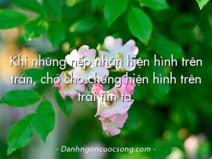 Khi những nếp nhăn hiện hình trên trán, chớ cho chúng hiện hình trên trái tim ta.