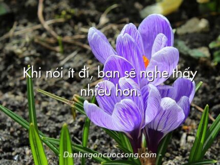 Khi nói ít đi, bạn sẽ nghe thấy nhiều hơn.