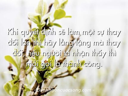 Khi quyết định sẽ làm một sự thay đổi lớn thì hãy lẳng lặng mà thay đổi, nếu người ta nhận thấy thì mới gọi là thành công.