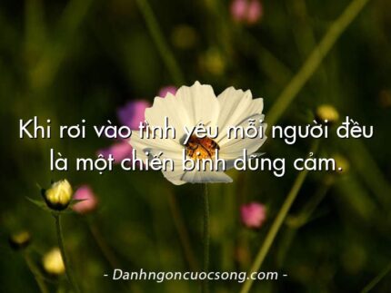 Khi rơi vào tình yêu mỗi người đều là một chiến binh dũng cảm.