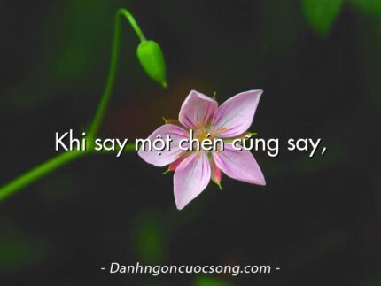 Khi say một chén cũng say,