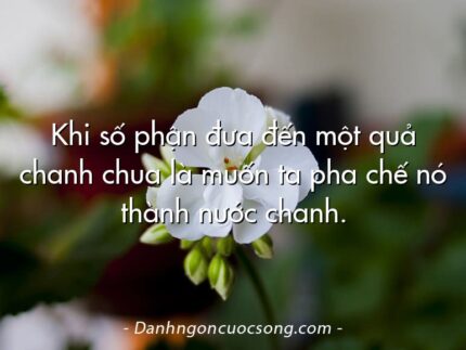 Khi số phận đưa đến một quả chanh chua là muốn ta pha chế nó thành nước chanh.