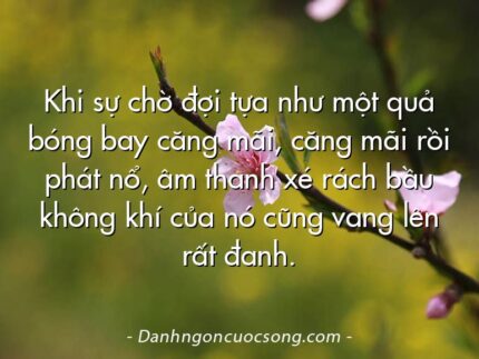 Khi sự chờ đợi tựa như một quả bóng bay căng mãi, căng mãi rồi phát nổ, âm thanh xé rách bầu không khí của nó cũng vang lên rất đanh.
