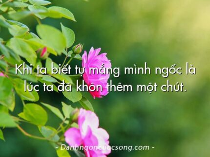 Khi ta biết tự mắng mình ngốc là lúc ta đã khôn thêm một chút.