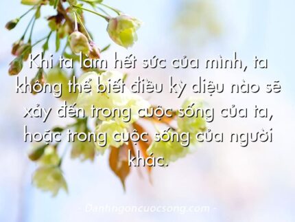 Khi ta làm hết sức của mình, ta không thể biết điều kỳ diệu nào sẽ xảy đến trong cuộc sống của ta, hoặc trong cuộc sống của người khác.