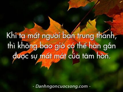 Khi ta mất người bạn trung thành, thì không bao giờ có thể hàn gắn được sự mất mát của tâm hồn.