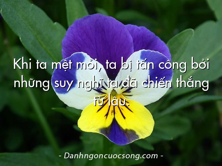 Khi ta mệt mỏi, ta bị tấn công bởi những suy nghĩ ta đã chiến thắng từ lâu.