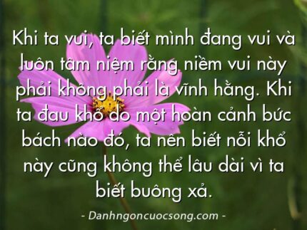 Khi ta vui, ta biết mình đang vui và luôn tâm niệm rằng niềm vui này phải không phải là vĩnh hằng. Khi ta đau khổ do một hoàn cảnh bức bách nào đó, ta nên biết nỗi khổ này cũng không thể lâu dài vì ta biết buông xả.