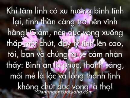 Khi tâm linh có xu hướng bình tĩnh lại, tinh thần càng trở nên vĩnh hằng! Giảm, nén dục vọng xuống thấp một chút, đẩy lý tính lên cao, tôi, bạn và chúng ta sẽ cảm nhận thấy: Bình an là phúc, thanh sảng, mới mẻ là lộc và lòng thanh tịnh không chút dục vọng là thọ!