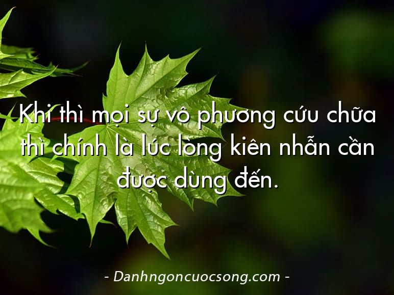 Khi thì mọi sự vô phương cứu chữa thì chính là lúc lòng kiên nhẫn cần được dùng đến.