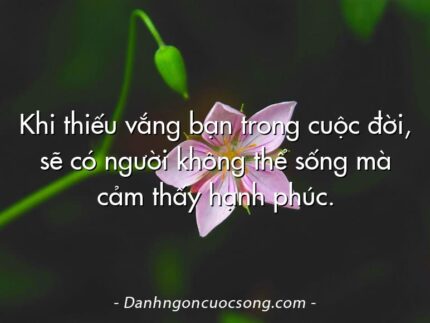 Khi thiếu vắng bạn trong cuộc đời, sẽ có người không thể sống mà cảm thấy hạnh phúc.