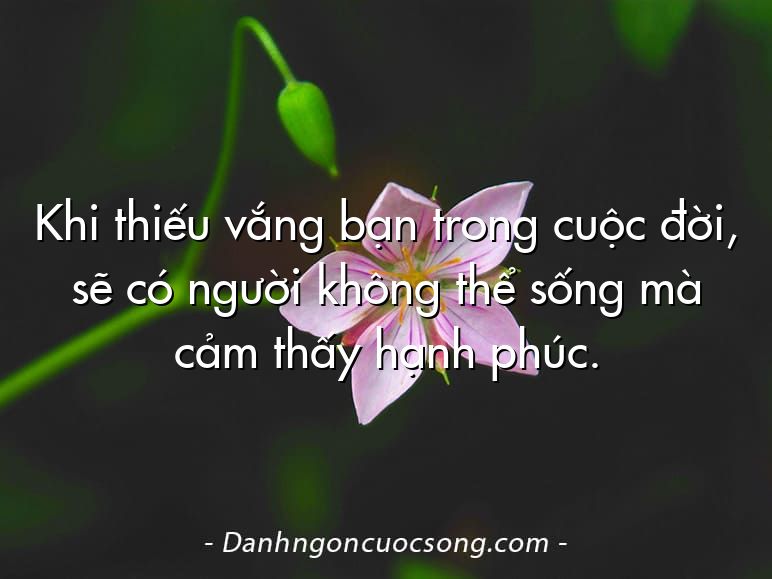 Khi thiếu vắng bạn trong cuộc đời, sẽ có người không thể sống mà cảm thấy hạnh phúc.