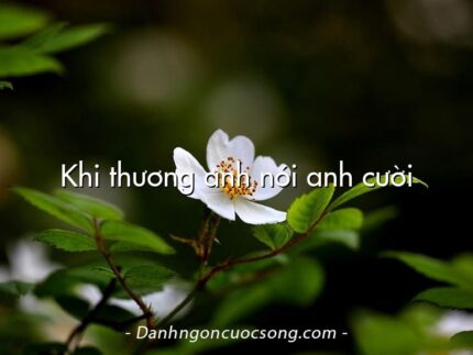 Khi thương anh nói anh cười