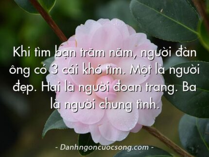 Khi tìm bạn trăm năm, người đàn ông có 3 cái khó tìm. Một là người đẹp. Hai là người đoan trang. Ba là người chung tình.
