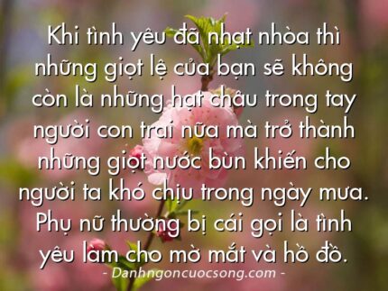 Khi tình yêu đã nhạt nhòa thì những giọt lệ của bạn sẽ không còn là những hạt châu trong tay người con trai nữa mà trở thành những giọt nước bùn khiến cho người ta khó chịu trong ngày mưa. Phụ nữ thường bị cái gọi là tình yêu làm cho mờ mắt và hồ đồ.