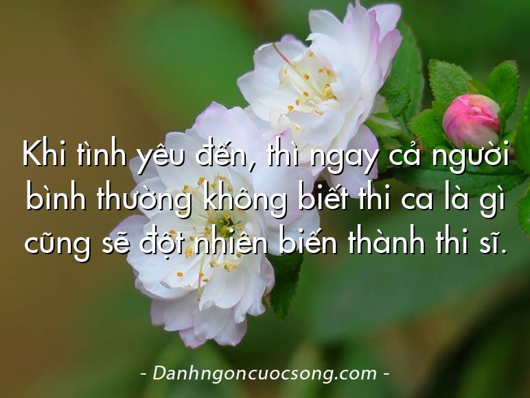 Khi tình yêu đến, thì ngay cả người bình thường không biết thi ca là gì cũng sẽ đột nhiên biến thành thi sĩ.