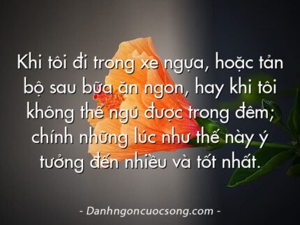 Khi tôi đi trong xe ngựa, hoặc tản bộ sau bữa ăn ngon, hay khi tôi không thể ngủ được trong đêm; chính những lúc như thế này ý tưởng đến nhiều và tốt nhất.