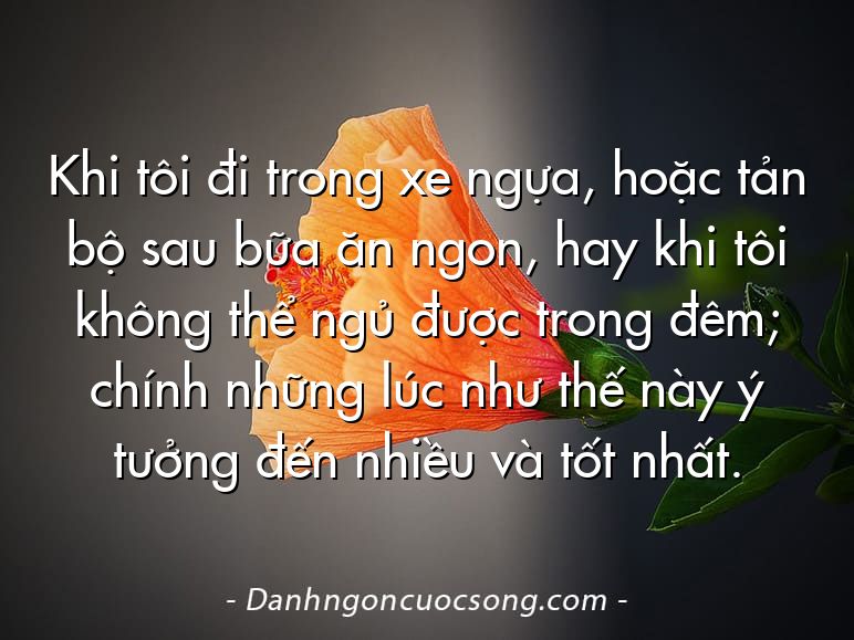 Khi tôi đi trong xe ngựa, hoặc tản bộ sau bữa ăn ngon, hay khi tôi không thể ngủ được trong đêm; chính những lúc như thế này ý tưởng đến nhiều và tốt nhất.