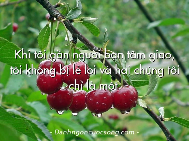 Khi tôi gần người bạn tâm giao, tôi không bị lẻ loi và hai chúng tôi chỉ là một.