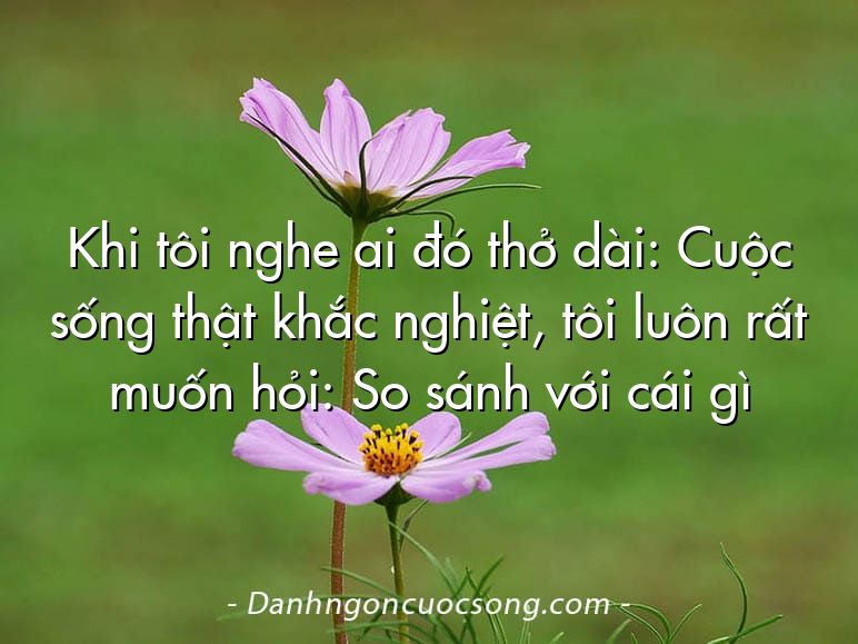 Khi tôi nghe ai đó thở dài: Cuộc sống thật khắc nghiệt, tôi luôn rất muốn hỏi: So sánh với cái gì