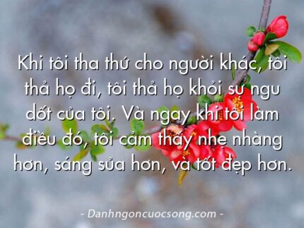 Khi tôi tha thứ cho người khác, tôi thả họ đi, tôi thả họ khỏi sự ngu dốt của tôi. Và ngay khi tôi làm điều đó, tôi cảm thấy nhẹ nhàng hơn, sáng sủa hơn, và tốt đẹp hơn.