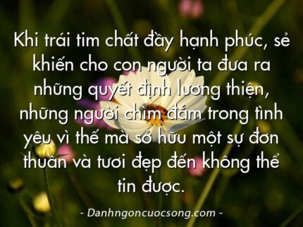 Khi trái tim chất đầy hạnh phúc, sẻ khiến cho con người ta đưa ra những quyết định lương thiện, những người chìm đắm trong tình yêu vì thế mà sở hữu một sự đơn thuần và tươi đẹp đến không thể tin được.