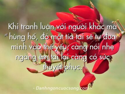 Khi tranh luận với người khác mà hùng hổ, đỏ mặt tía tai sẽ tự đưa mình vào thế yếu; càng nói nhẹ ngàng êm tai lại càng có sức thuyết phục.