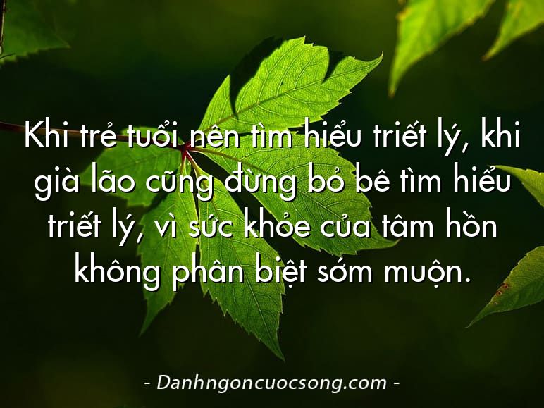 Khi trẻ tuổi nên tìm hiểu triết lý, khi già lão cũng đừng bỏ bê tìm hiểu triết lý, vì sức khỏe của tâm hồn không phân biệt sớm muộn.