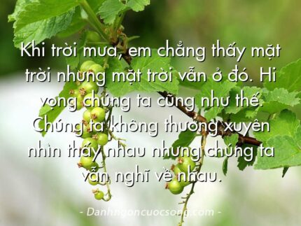 Khi trời mưa, em chẳng thấy mặt trời nhưng mặt trời vẫn ở đó. Hi vọng chúng ta cũng như thế. Chúng ta không thường xuyên nhìn thấy nhau nhưng chúng ta vẫn nghĩ về nhau.