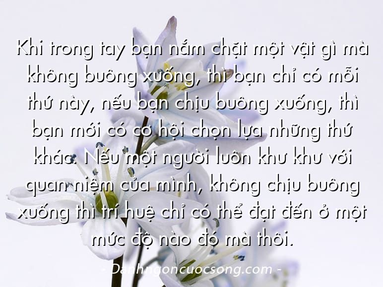 Khi trong tay bạn nắm chặt một vật gì mà không buông xuống, thì bạn chỉ có mỗi thứ này, nếu bạn chịu buông xuống, thì bạn mới có cơ hội chọn lựa những thứ khác. Nếu một người luôn khư khư với quan niệm của mình, không chịu buông xuống thì trí huệ chỉ có thể đạt đến ở một mức độ nào đó mà thôi.