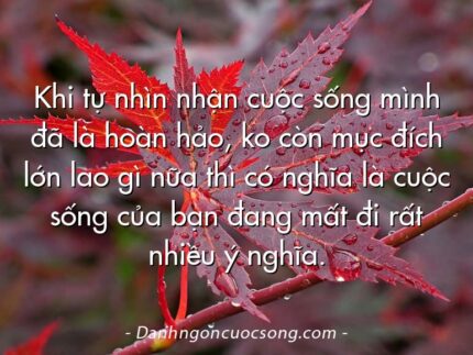 Khi tự nhìn nhận cuộc sống mình đã là hoàn hảo, ko còn mục đích lớn lao gì nữa thì có nghĩa là cuộc sống của bạn đang mất đi rất nhiều ý nghĩa.
