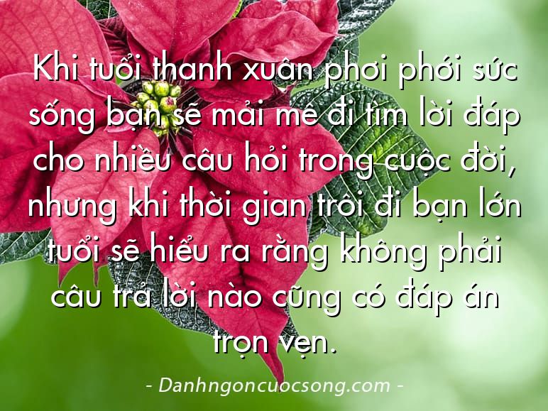Khi tuổi thanh xuân phơi phới sức sống bạn sẽ mải mê đi tìm lời đáp cho nhiều câu hỏi trong cuộc đời, nhưng khi thời gian trôi đi bạn lớn tuổi sẽ hiểu ra rằng không phải câu trả lời nào cũng có đáp án trọn vẹn.