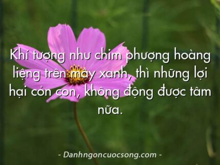 Khí tượng như chim phượng hoàng liệng trên mây xanh, thì những lợi hại cỏn con, không động được tâm nữa.