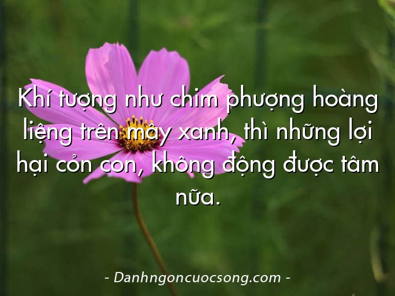 Khí tượng như chim phượng hoàng liệng trên mây xanh, thì những lợi hại cỏn con, không động được tâm nữa.