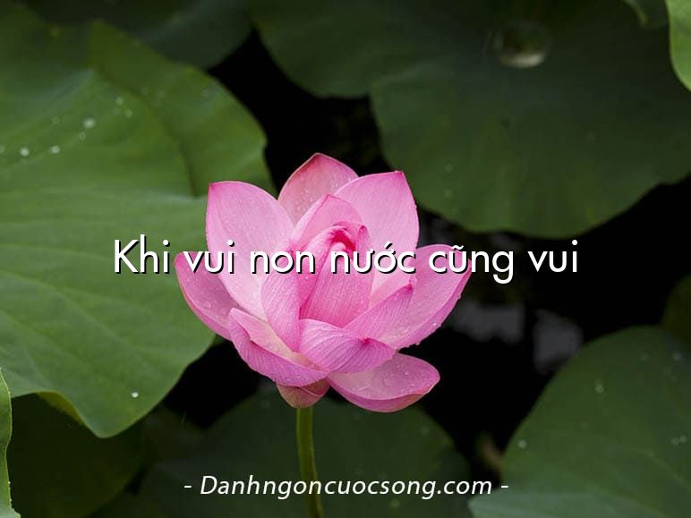 Khi vui non nước cũng vui