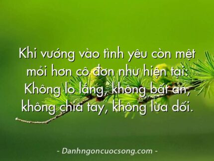 Khi vướng vào tình yêu còn mệt mỏi hơn cô đơn như hiện tại: Không lo lắng, không bất an, không chia tay, không lừa dối.