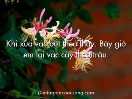 Khi xưa vác bút theo thầy. Bây giờ em lại vác cày theo trâu.